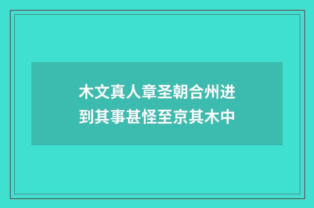 木文真人章圣朝合州进到其事甚怪至京其木中