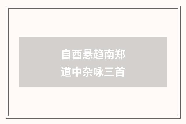 自西悬趋南郑道中杂咏三首