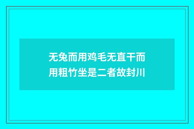 无兔而用鸡毛无直干而用粗竹坐是二者故封川