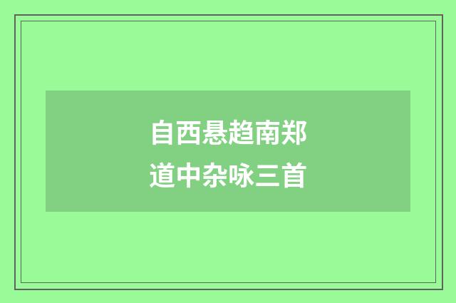 自西悬趋南郑道中杂咏三首