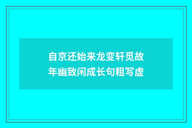自京还始来龙变轩觅故年幽致闲成长句粗写虚