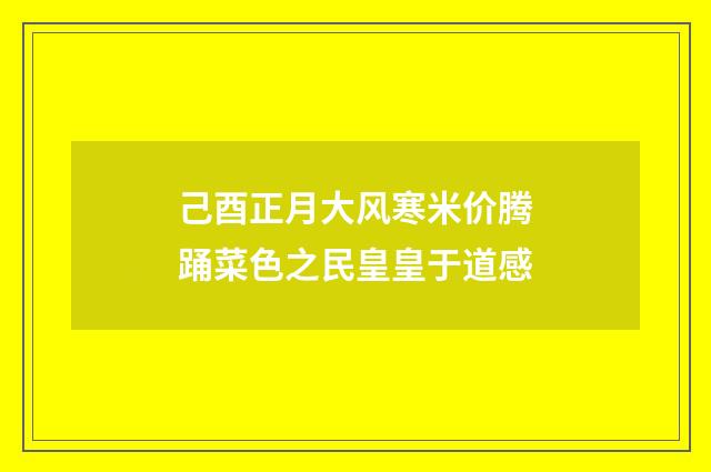 己酉正月大风寒米价腾踊菜色之民皇皇于道感