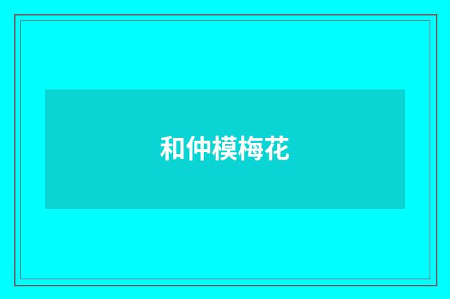 和仲模梅花
