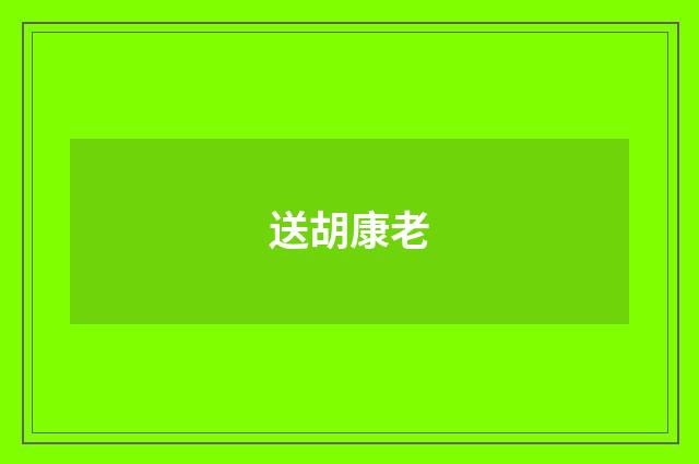 送胡康老