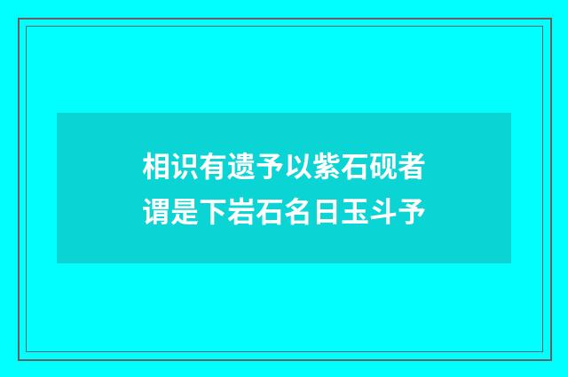 相识有遗予以紫石砚者谓是下岩石名日玉斗予