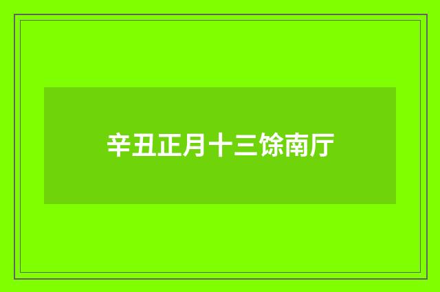 辛丑正月十三馀南厅