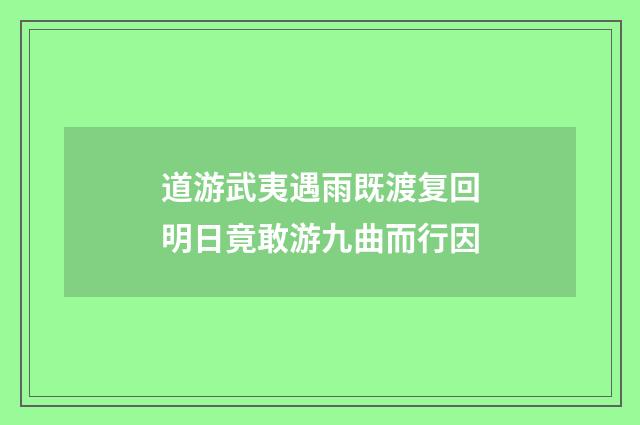 道游武夷遇雨既渡复回明日竟敢游九曲而行因
