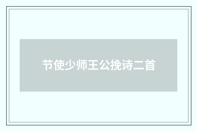 节使少师王公挽诗二首