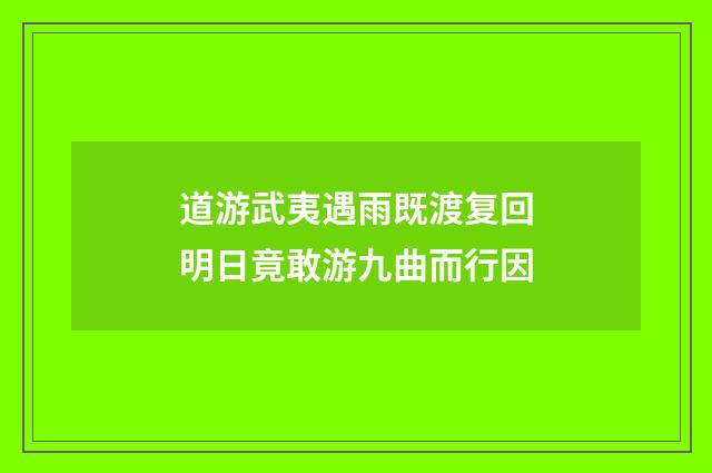 道游武夷遇雨既渡复回明日竟敢游九曲而行因