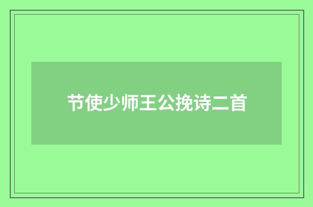 节使少师王公挽诗二首