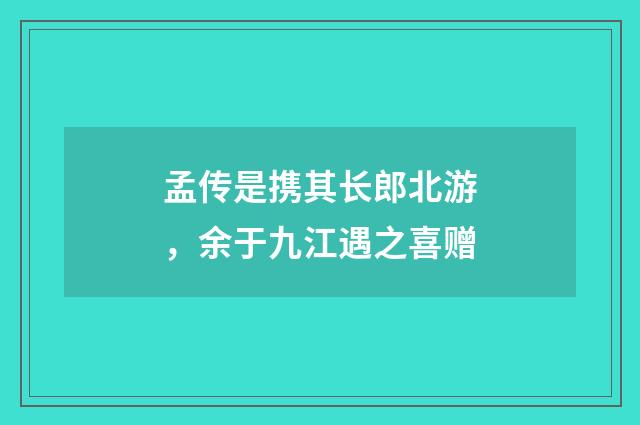 孟传是携其长郎北游，余于九江遇之喜赠