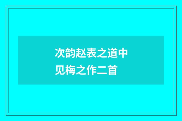 次韵赵表之道中见梅之作二首