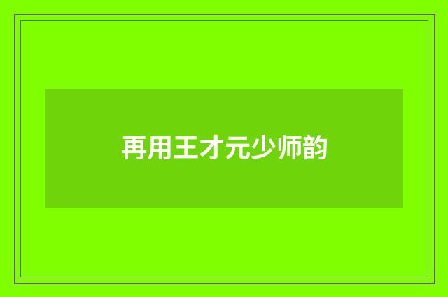 再用王才元少师韵