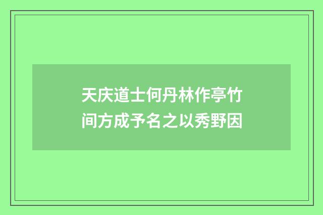 天庆道士何丹林作亭竹间方成予名之以秀野因