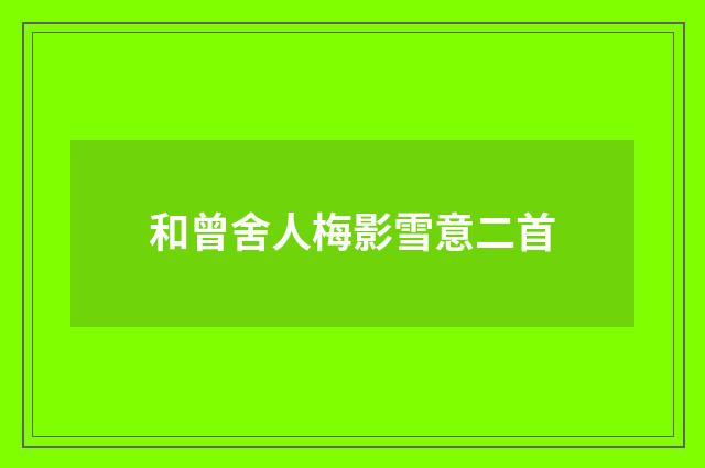 和曾舍人梅影雪意二首
