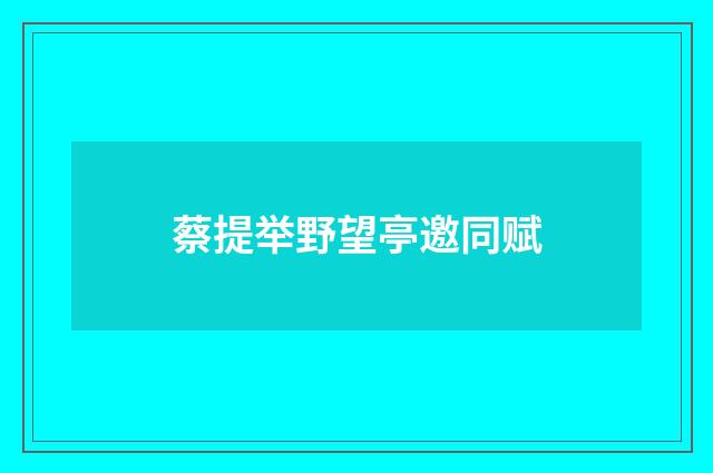 蔡提举野望亭邀同赋