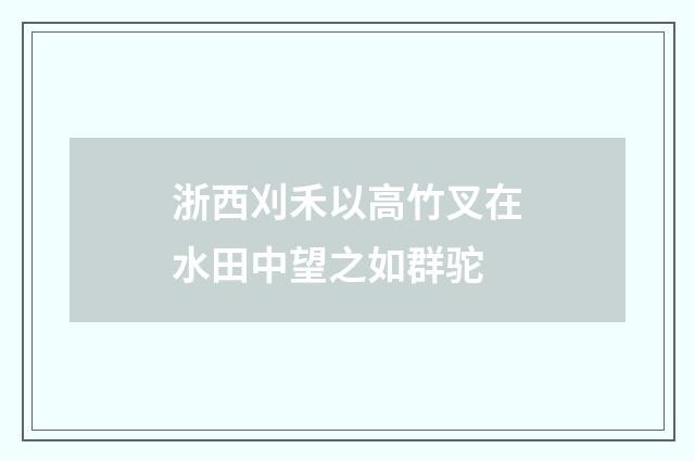 浙西刈禾以高竹叉在水田中望之如群驼