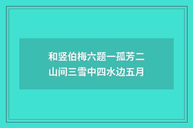 和竖伯梅六题一孤芳二山间三雪中四水边五月