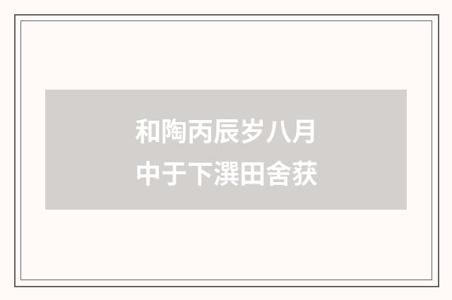 和陶丙辰岁八月中于下潠田舍获
