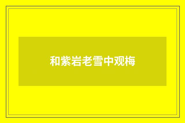 和紫岩老雪中观梅