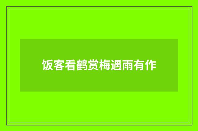 饭客看鹤赏梅遇雨有作