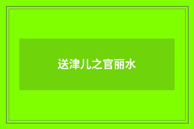 送津儿之官丽水