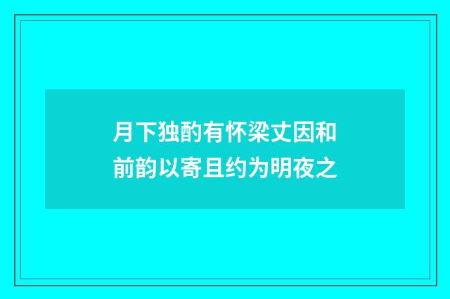月下独酌有怀梁丈因和前韵以寄且约为明夜之