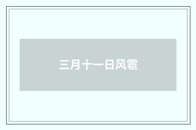 三月十一日风雹