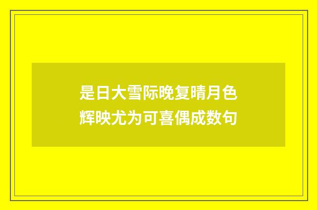 是日大雪际晚复晴月色辉映尤为可喜偶成数句