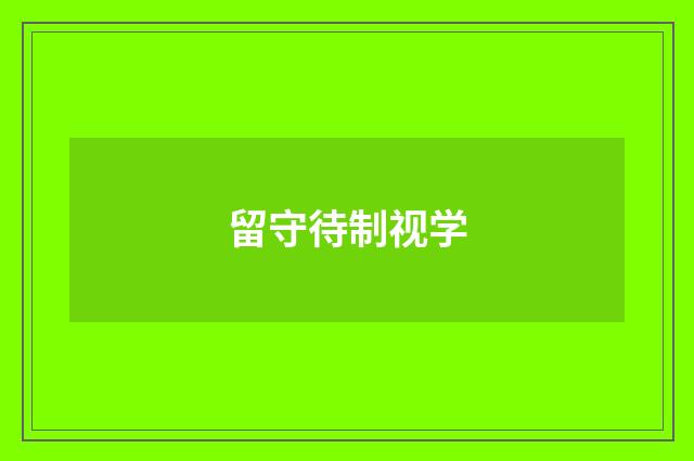 留守待制视学