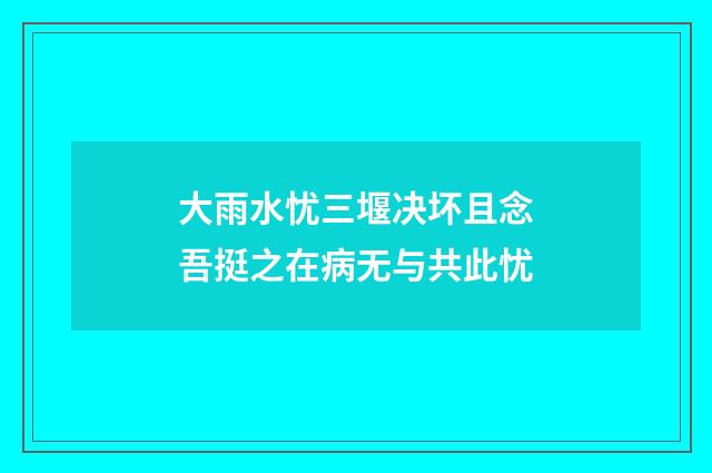 大雨水忧三堰决坏且念吾挺之在病无与共此忧
