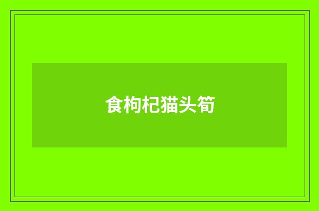 食枸杞猫头筍