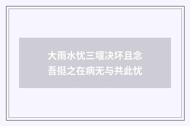 大雨水忧三堰决坏且念吾挺之在病无与共此忧