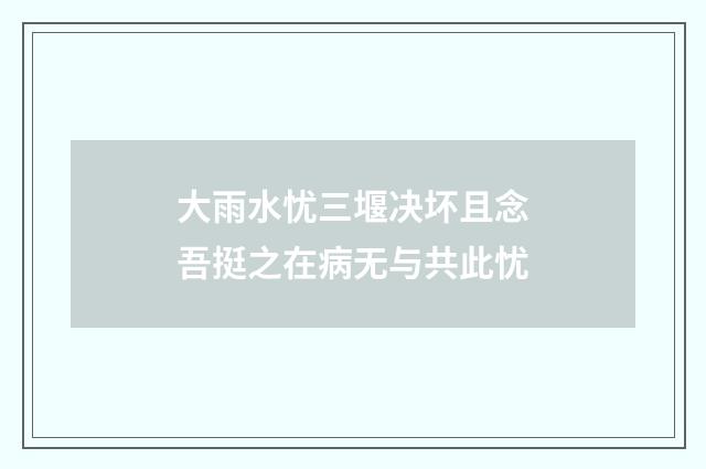 大雨水忧三堰决坏且念吾挺之在病无与共此忧