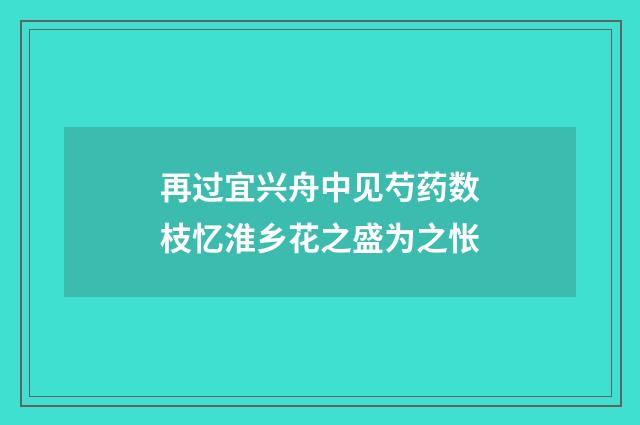 再过宜兴舟中见芍药数枝忆淮乡花之盛为之怅