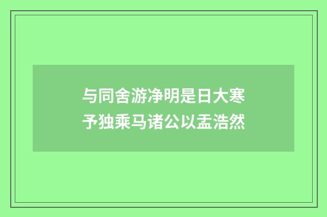 与同舍游净明是日大寒予独乘马诸公以盂浩然