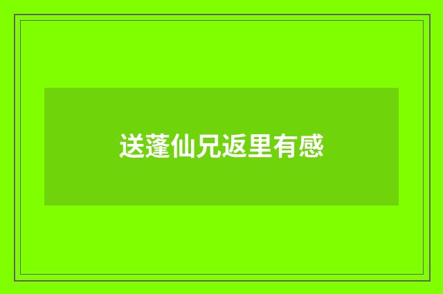 送蓬仙兄返里有感