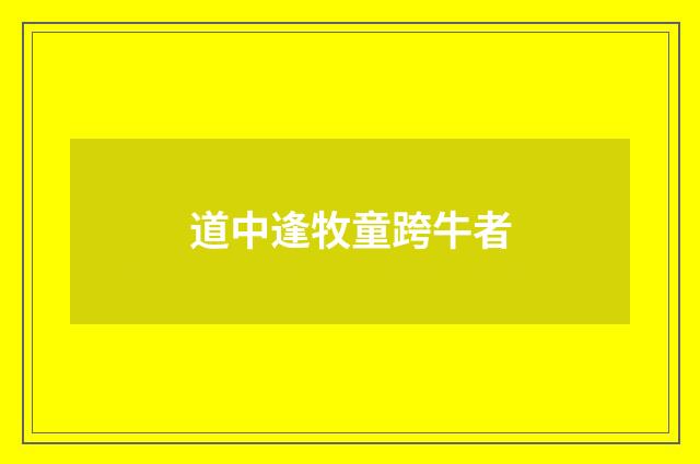 道中逢牧童跨牛者