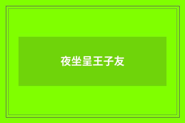 夜坐呈王子友