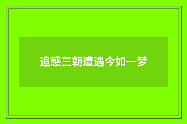 追感三朝遭遇今如一梦