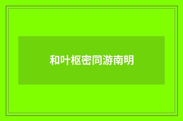 和叶枢密同游南明