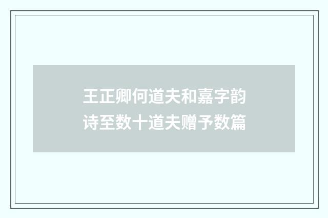 王正卿何道夫和嘉字韵诗至数十道夫赠予数篇