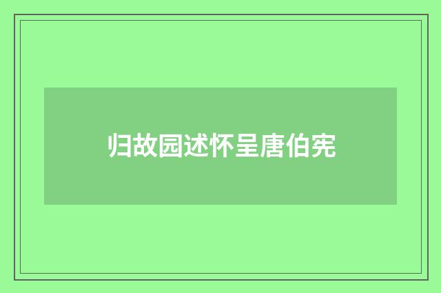 归故园述怀呈唐伯宪