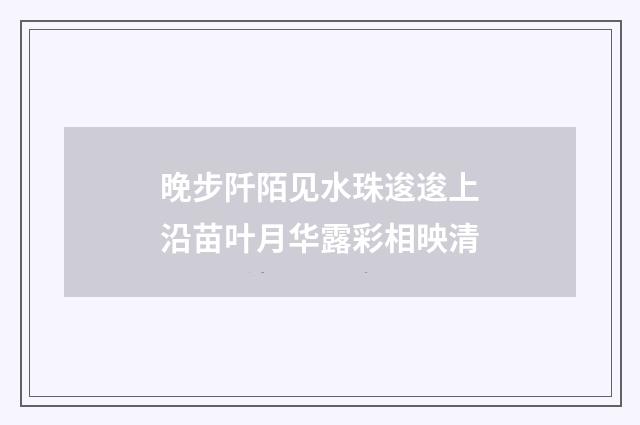 晚步阡陌见水珠逡逡上沿苗叶月华露彩相映清