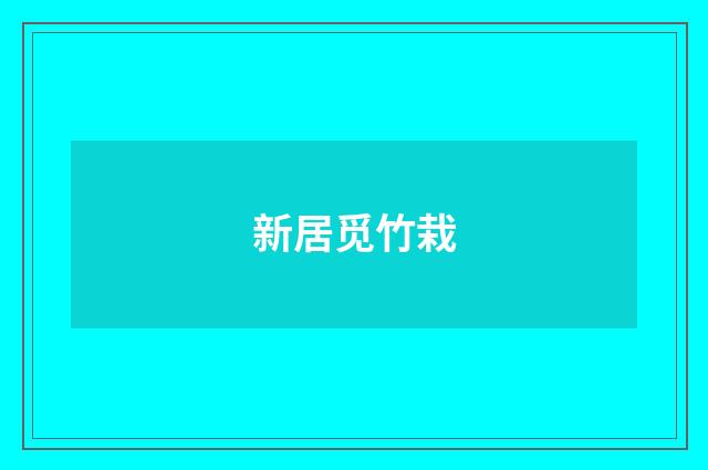 新居觅竹栽