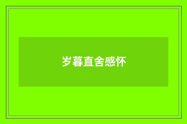 岁暮直舍感怀