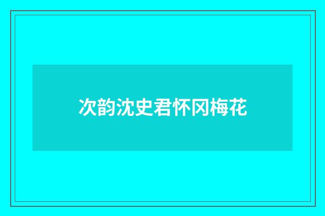 次韵沈史君怀冈梅花
