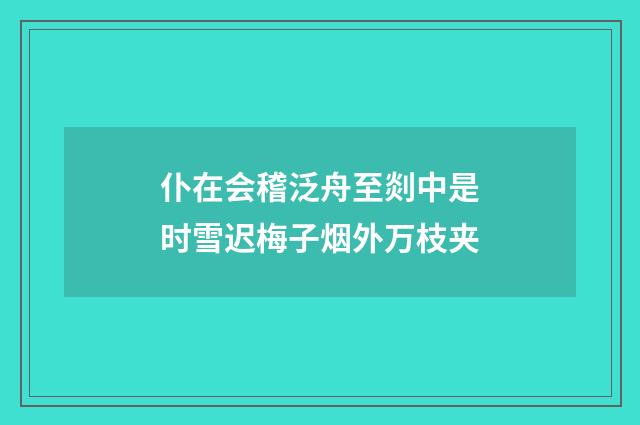 仆在会稽泛舟至剡中是时雪迟梅子烟外万枝夹