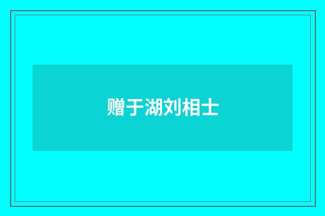 赠于湖刘相士