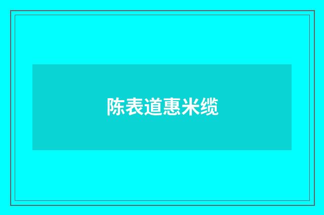 陈表道惠米缆